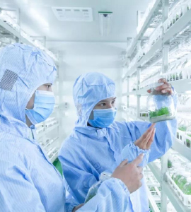 麻豆成人影院在线技术