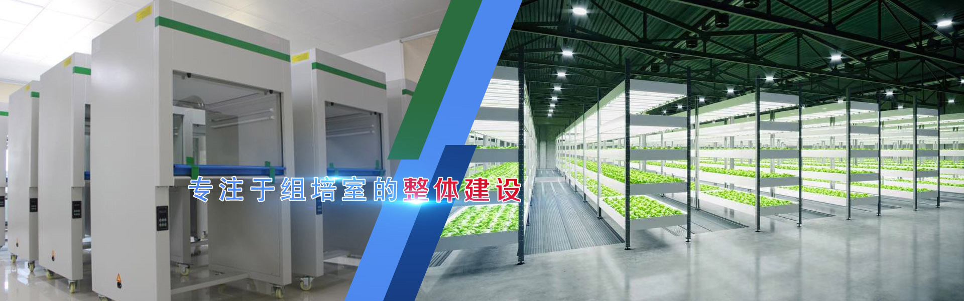 麻豆成人影院在线、麻豆成人影院在线架