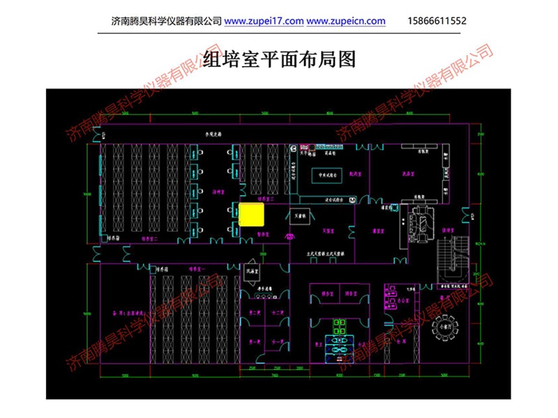 马拉西亚植物麻豆成人影院在线室（培养室）净化设计