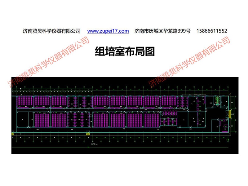兰州新区麻豆成人影院在线室设计图