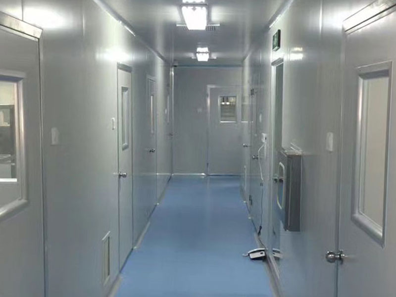 麻豆成人影院在线室净化