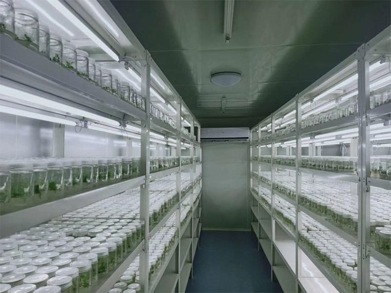 麻豆成人影院在线  麻豆成人影院在线架
