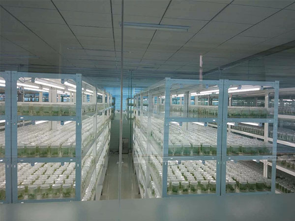 麻豆免费看黄色网站培养架的产品特性