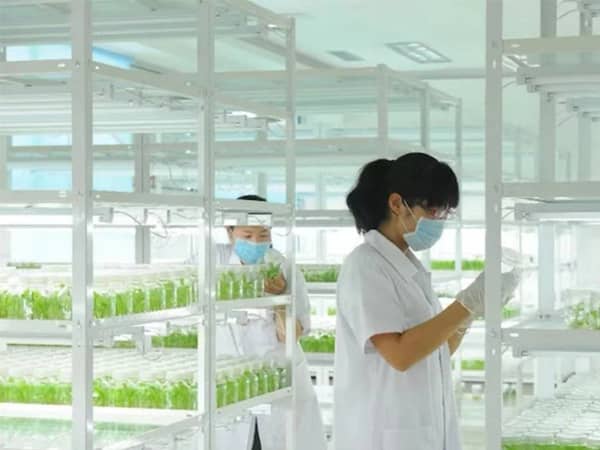 麻豆免费看黄色网站麻豆成人影院在线架产品参数