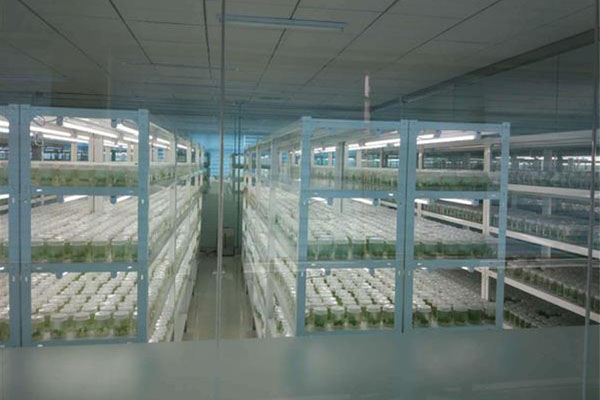 麻豆成人影院在线室应具备哪些条件