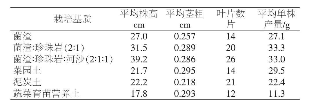 黄精麻豆成人影院在线苗移栽技术研究