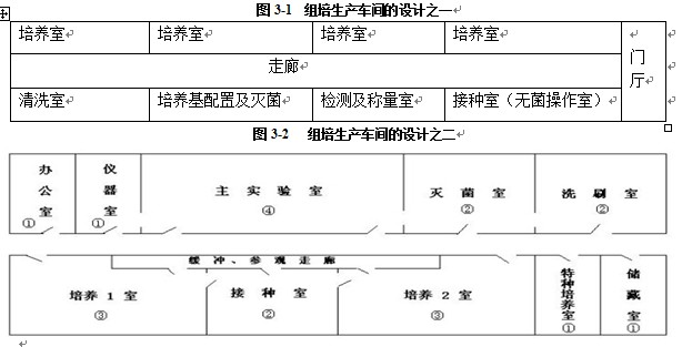 麻豆成人影院在线室设计基本规则