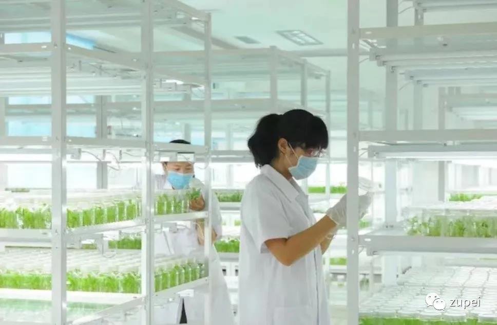 麻豆成人影院在线室生产规模如何确定