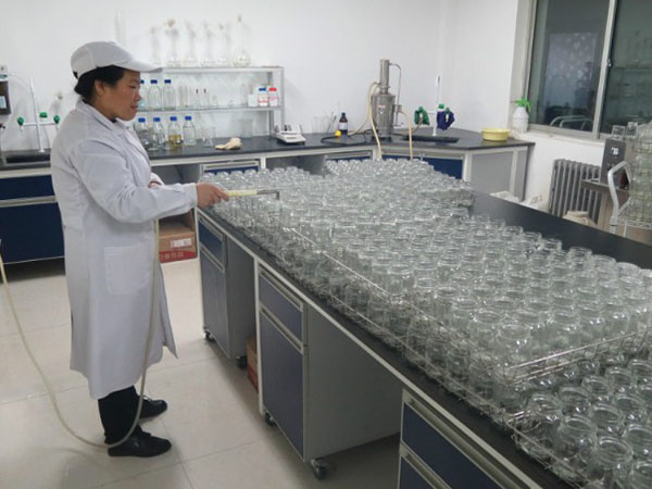 麻豆成人影院在线室设计