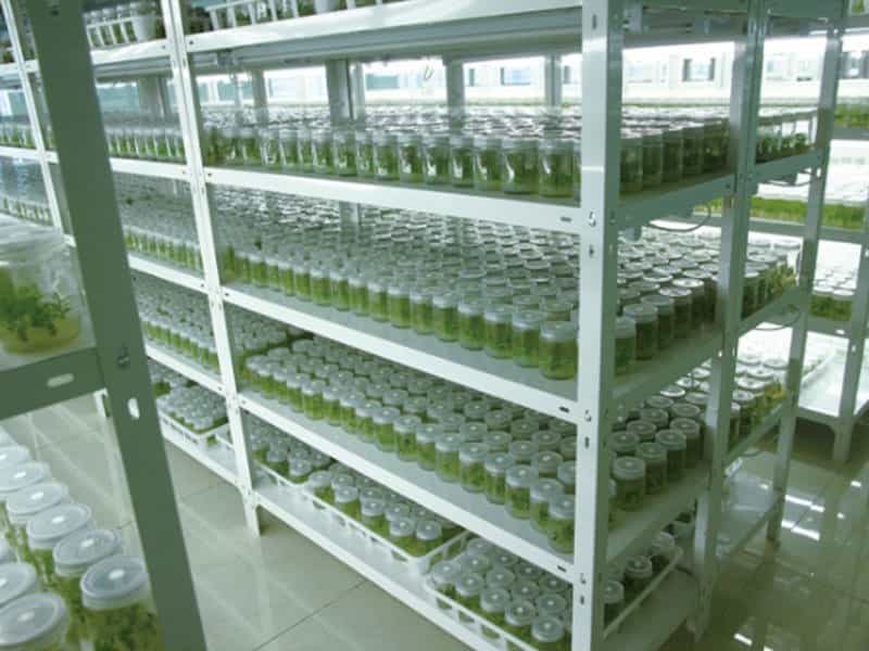 麻豆成人影院在线  麻豆成人影院在线设备