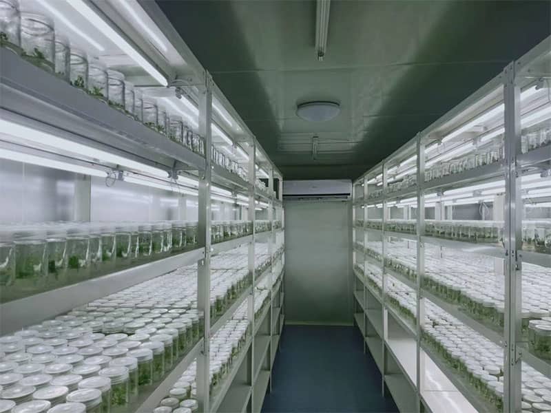 麻豆成人影院在线  麻豆成人影院在线架