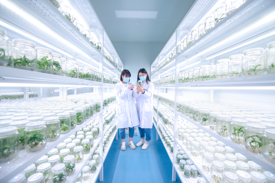 常用麻豆成人影院在线架参数