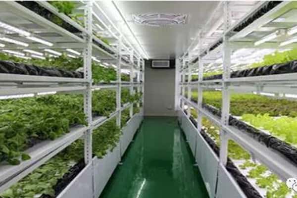 麻豆成人影院在线生产中常见问题及应对措施