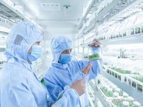 麻豆成人影院在线室建设之前应该做哪些准备？