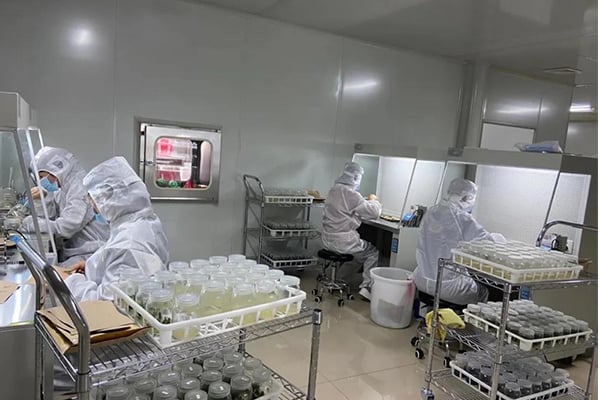 麻豆成人影院在线工厂设计建设的注意事项